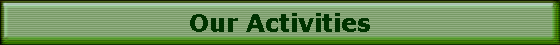 Our Activities